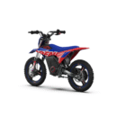 RFN SX-E350 – Warrior Kids Electric Dirt Bike
